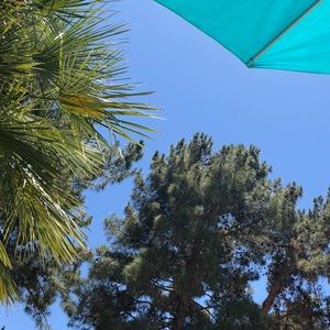 Meet your Posher, Kristin